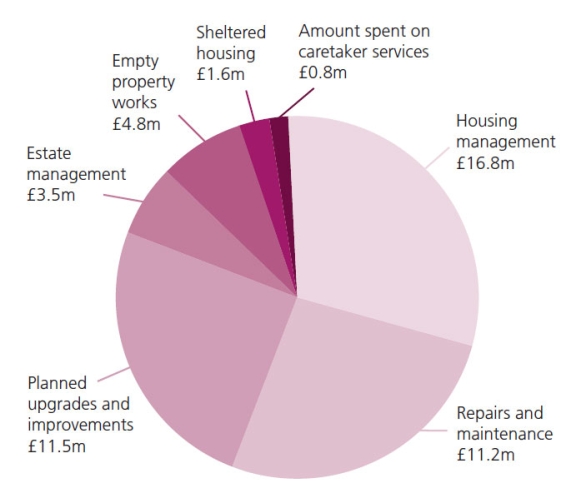 Pi-chart showing 2024-25 expenditure