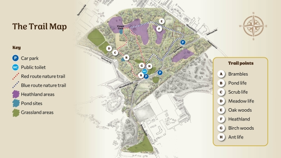 Trial map