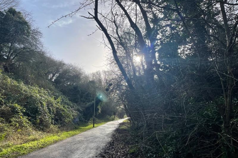 Lakenham Way with sunshine coming through the trees