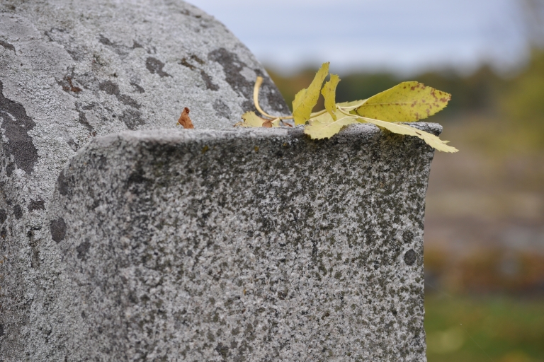 image of a headstone 