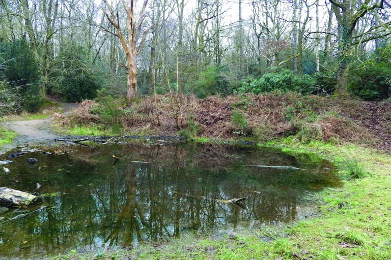 Ponds