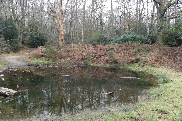 Mousehold Vinegar pond