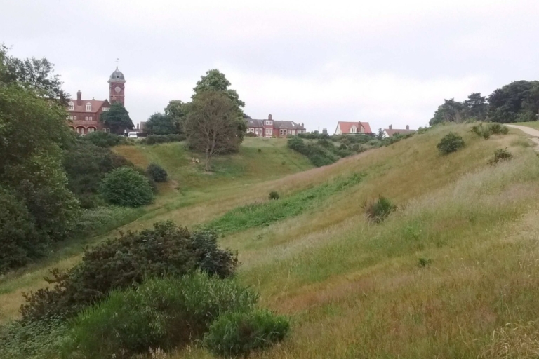 meadow 7