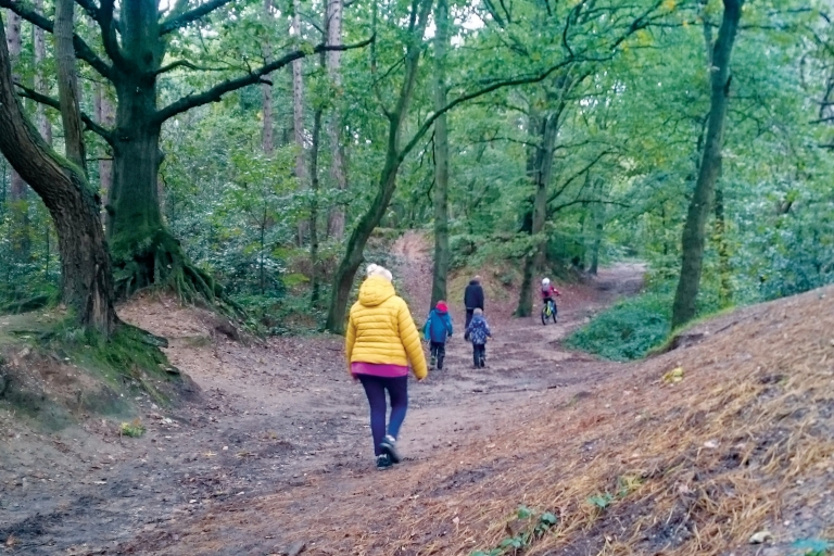 Mousehold trail intro