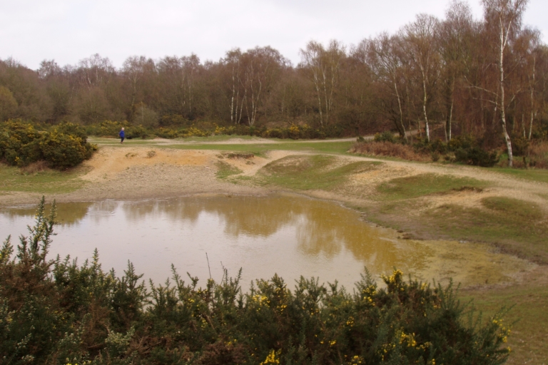 Mousehold B18