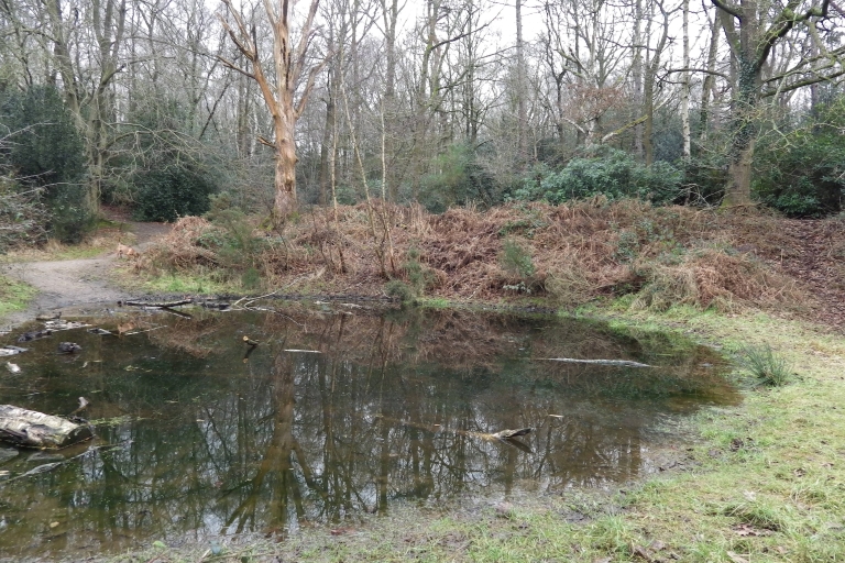 Mousehold B26