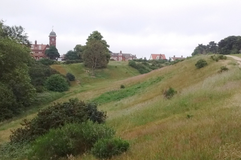 Mousehold B27