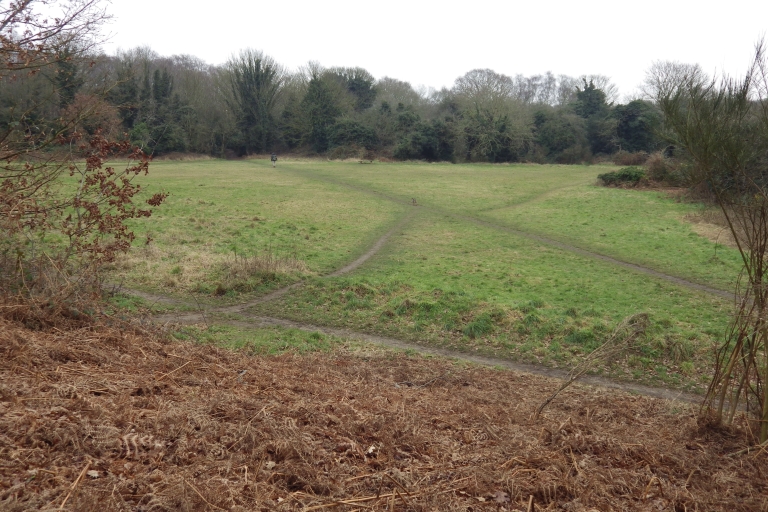 Mousehold B28