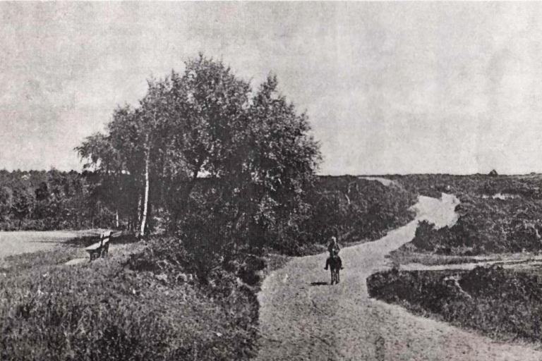 Mousehold B2