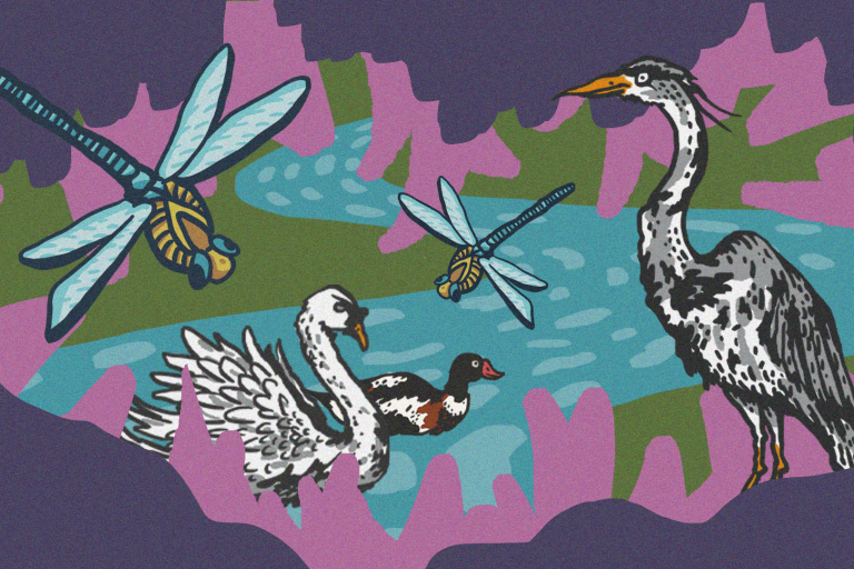 River festival discover the hidden world