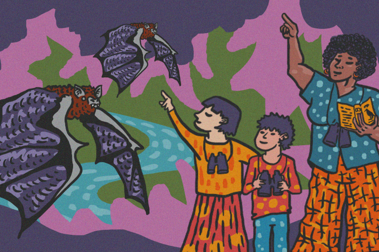 River festival bat walk