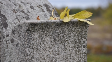 image of a headstone 