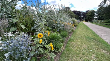 Heigham Park 