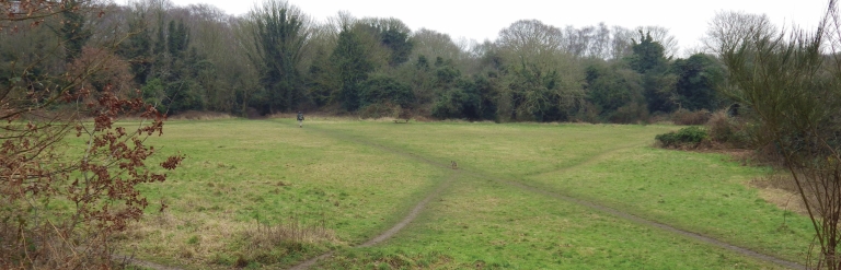 Mousehold grassland banner