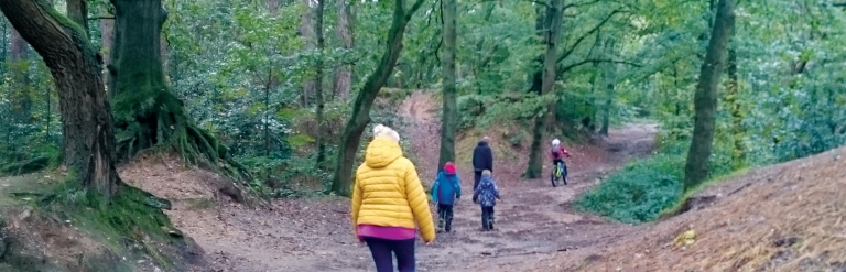 Mousehold trail banner